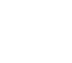 logotipo da diesel